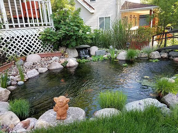 Koi pond