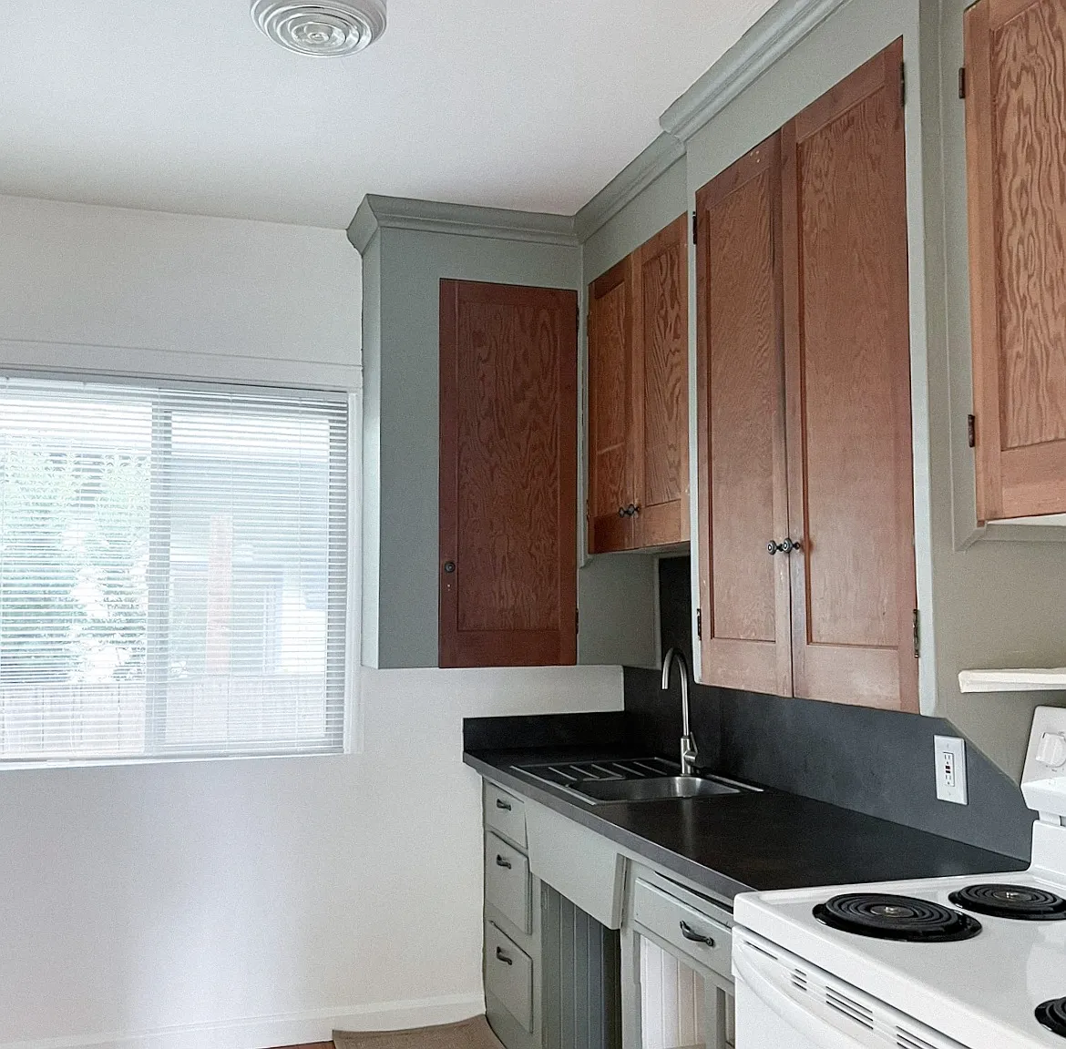 1 bed, 515 sqft, $1,595 — Photo 1