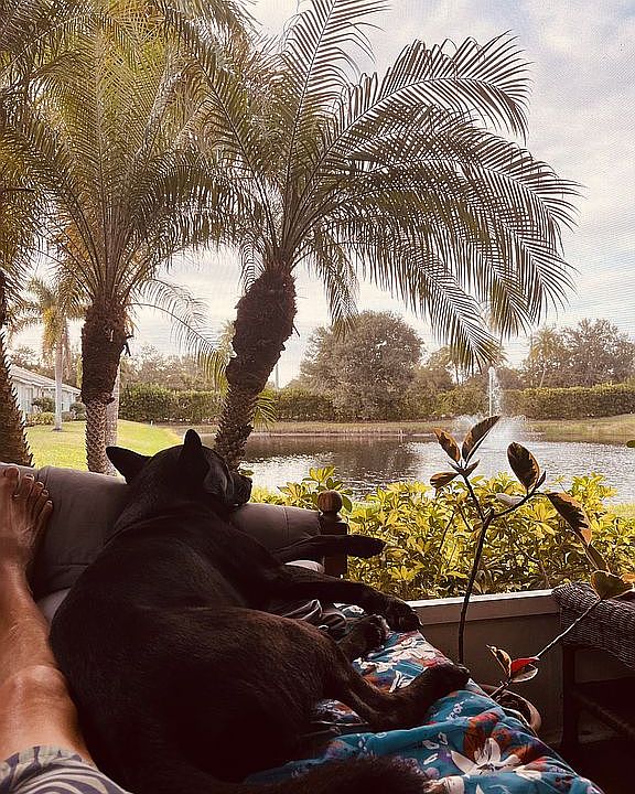 1st image of 214 Reclinata Cir