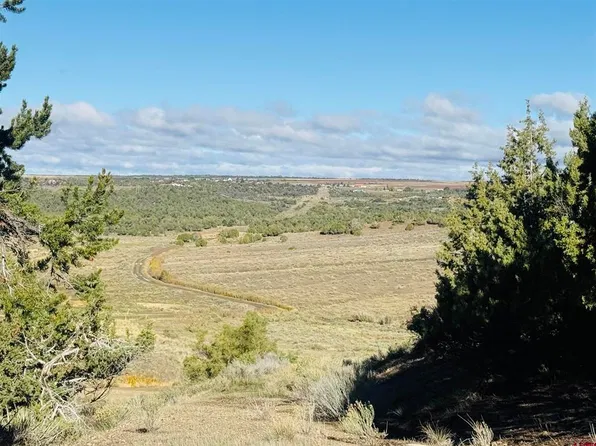 24832 Road V.5, Dolores, CO 81323