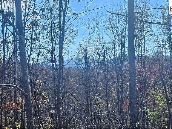 5th image of Lot 110 Settlers Knob Road