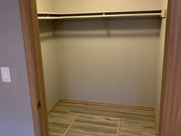 Spacious walk-in closet located in the primary bedroom, featuring wood-style flooring, overhead lighting, and a full-length hanging rod for ample storage and organization.