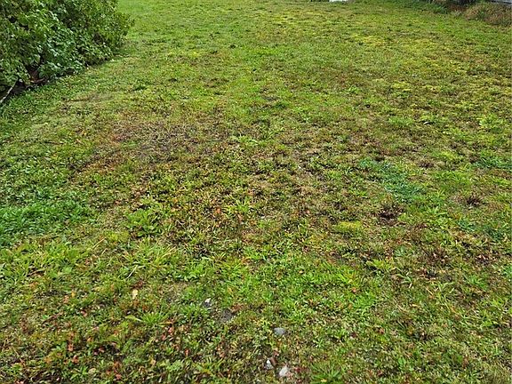 4th image of 7552 Birch Bay Drive