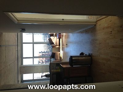 3rd image of 1555 S Wabash Ave #706