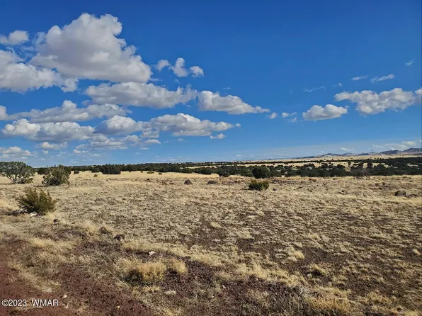 County Road 5076, Concho, AZ 85924