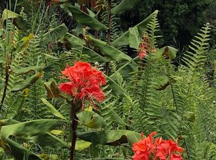 Road 4 LOT 258, Volcano, HI 96785