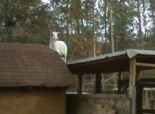 173 Blackberry Ln, Augusta, GA 30906