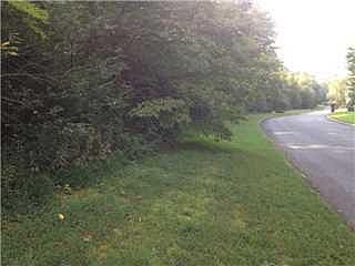 5th image of 1012 Big Cedar Dr