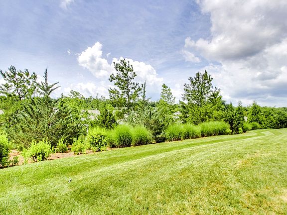 2nd image of 305 Cascabel Pl