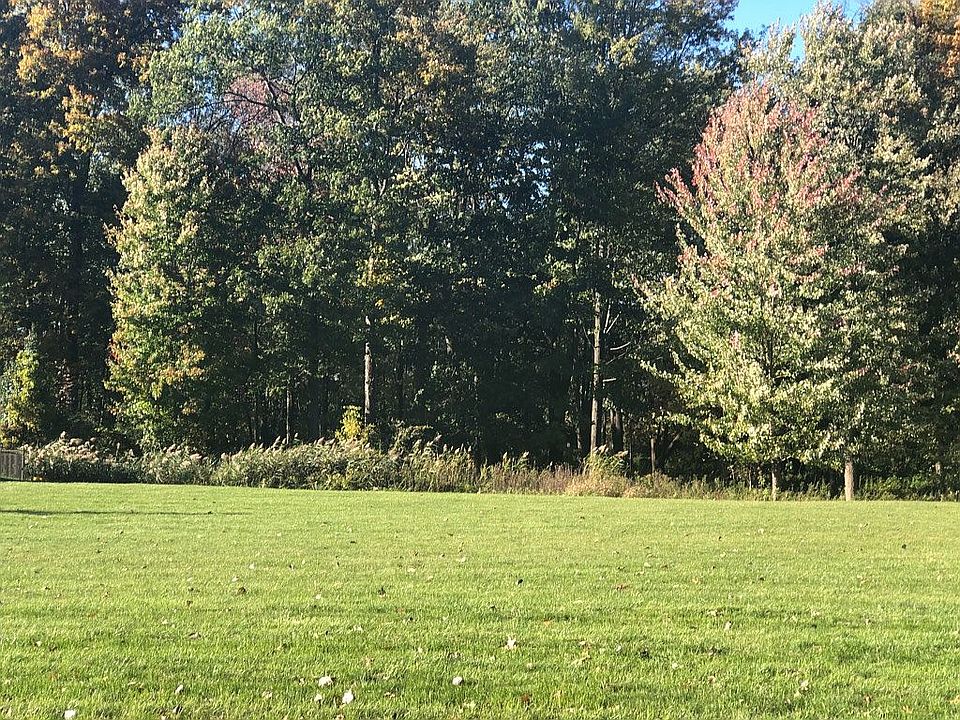 Woods at rear of lot