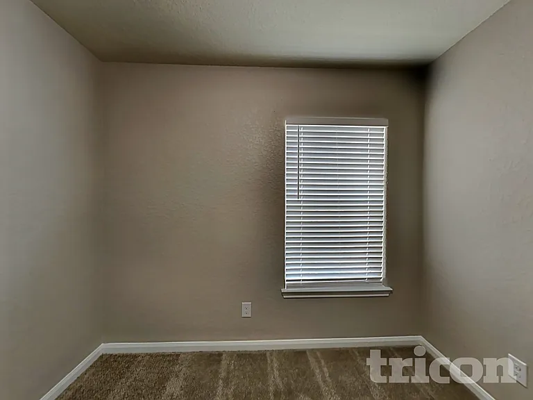 6803 Luckey Tree — Photo 10