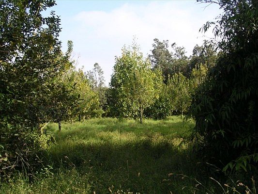 2nd image of Road 9 Koloa Maoli Lot 5570
