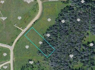 57720 Golden Tide Pl, Clark, CO 80428