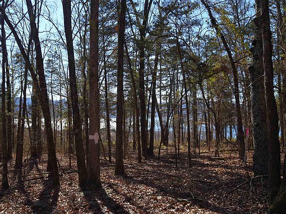 2nd image of TRACT A/B Shiloh Cove Ln