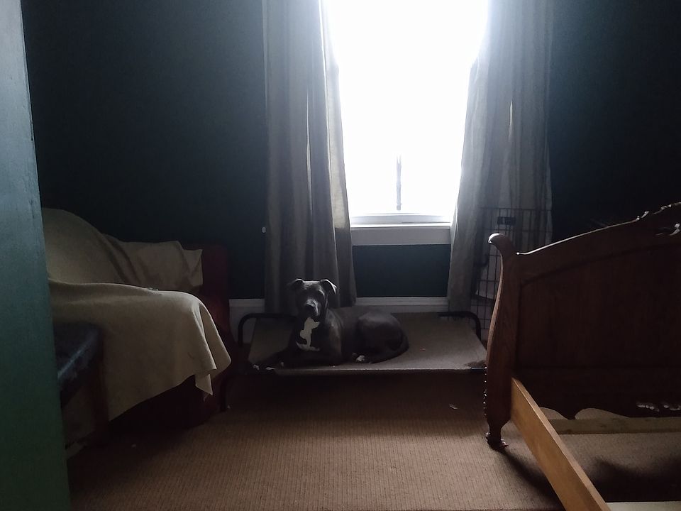 Biggest bedroom
