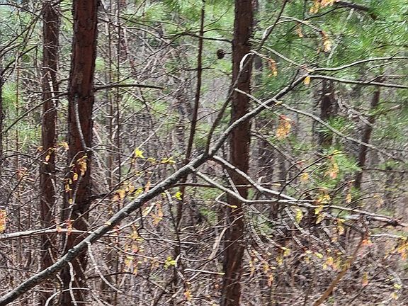 5th image of 59 Silverbell Pl Lot 59