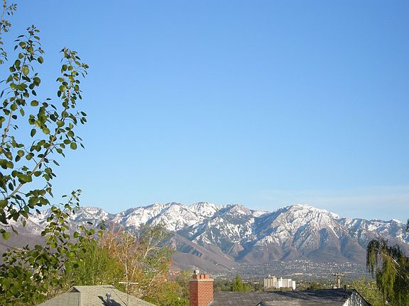 View from Inside House