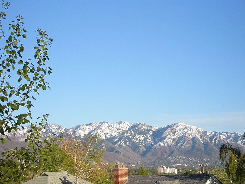 View from Inside House