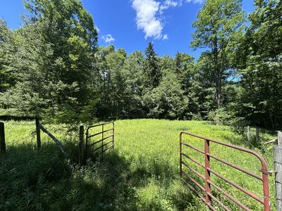 1835 E Woodrow Branch Rd, Marlinton, WV, 24954