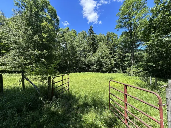 1835 E Woodrow Branch Rd, Marlinton, WV 24954