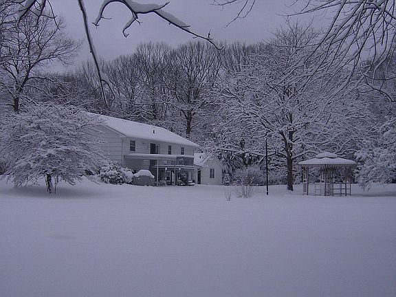 Back right side of yard looking at back of house