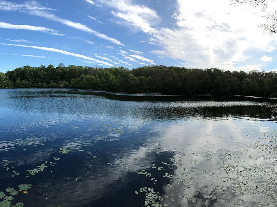 The Lake