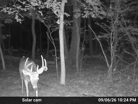 3rd image of 34th Rd