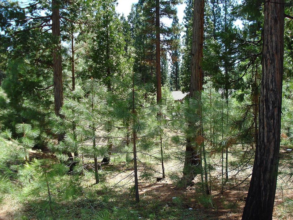2nd image of 745 Blacktail Rdg