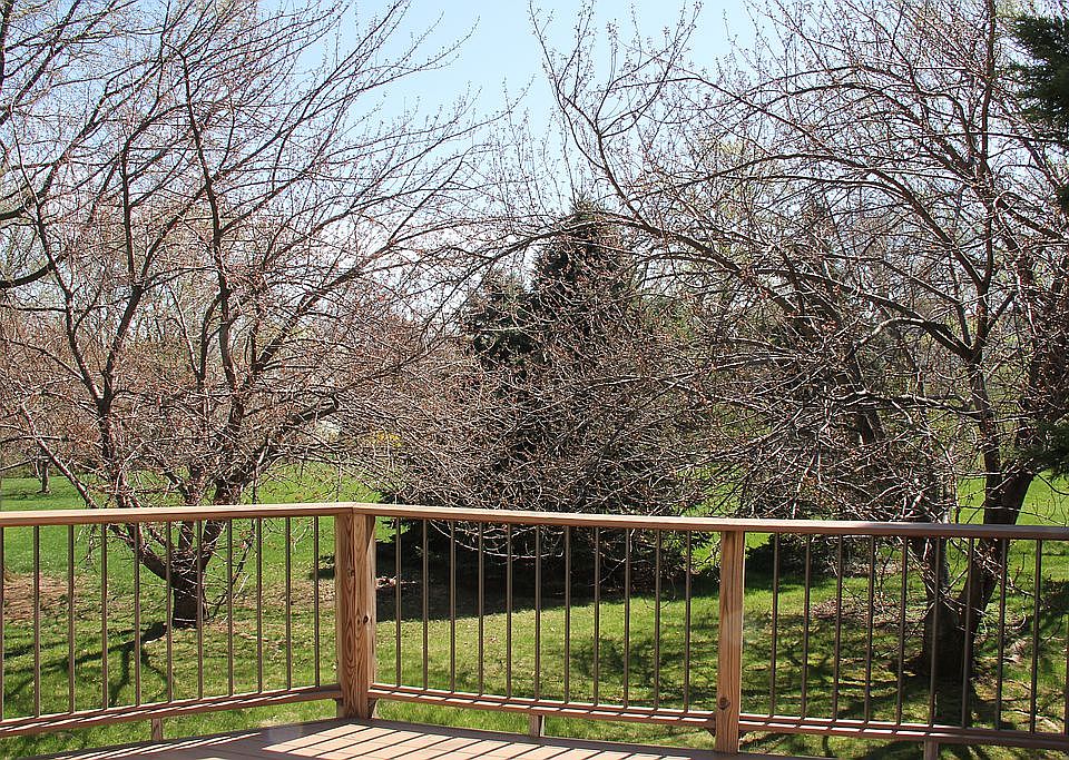 2nd image of 31 Highfields Dr