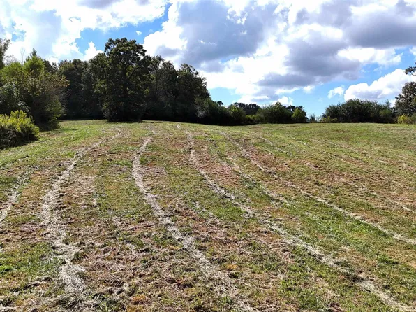 Ann Adele Ln, Mena, AR 71953