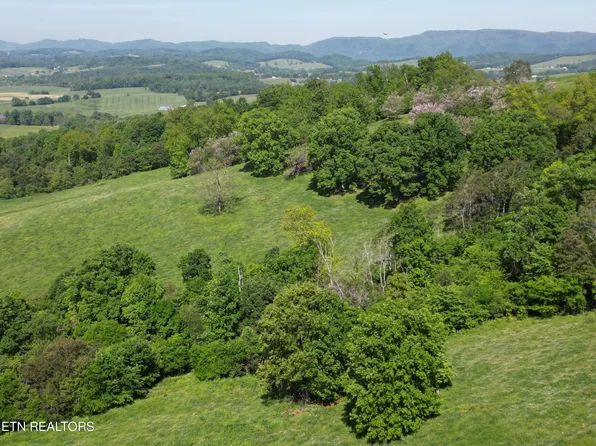 TRACT 10 Buffalo Springs Rd, Rutledge, TN 37861