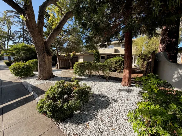 3630 Lupine Ave, Palo Alto, CA 94303