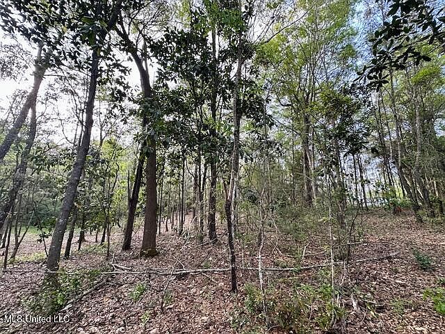 1st image of Simon Blvd Lot 67