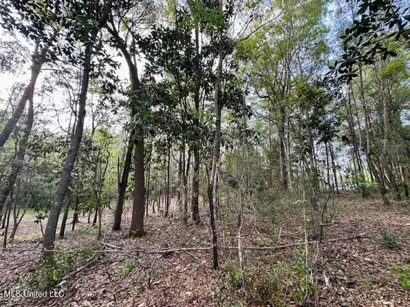 Simon Blvd Lot 67, Ocean Springs, MS 39564