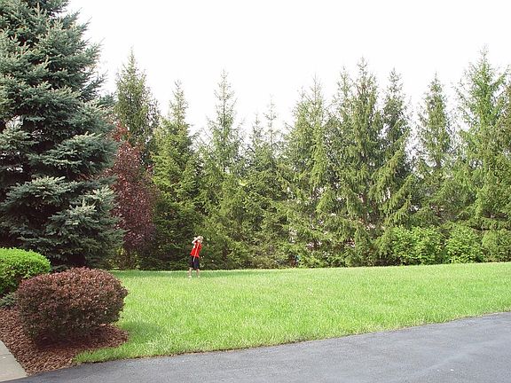 Front Yard