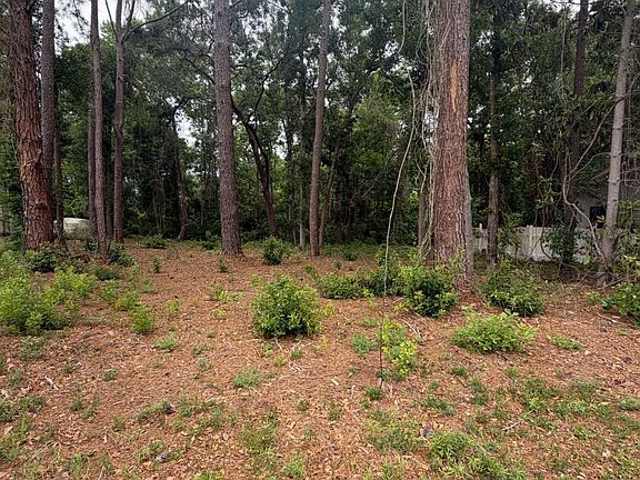 3rd image of 134 Palmera Ln