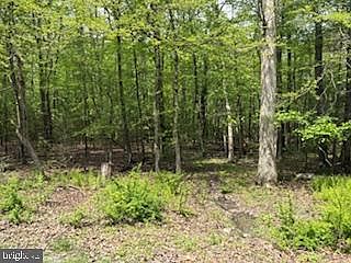 2nd image of 30 Hirschmann Rd