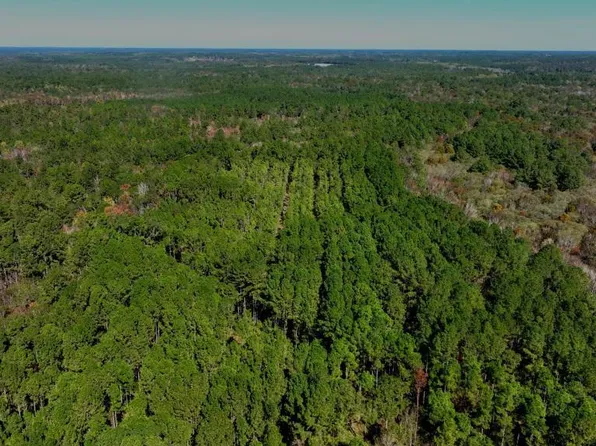 0 Anderson Rd Tract 1, Statesboro, GA 30458