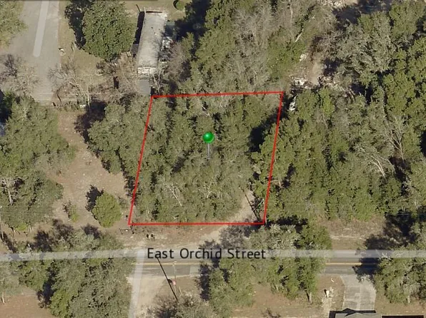3769 E Orchid St, Hernando, FL 34442