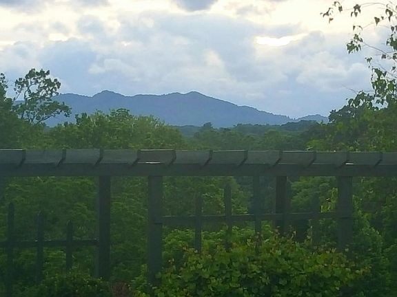 Beautiful Mountain View!