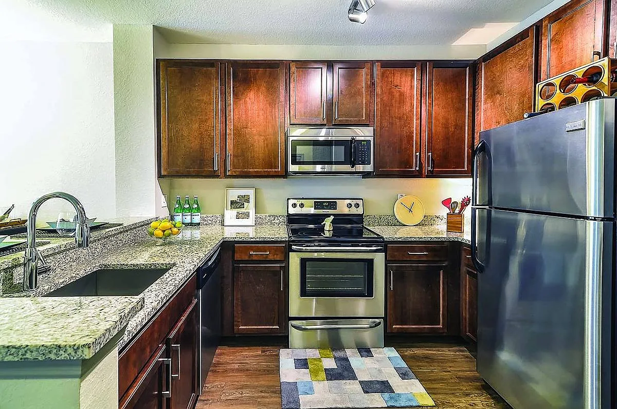 873 Ibis Walk Place N in Saint Petersburg, FL 33716 — Photo 4