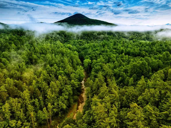 6148 Franklin Rd, Roanoke, VA 24014