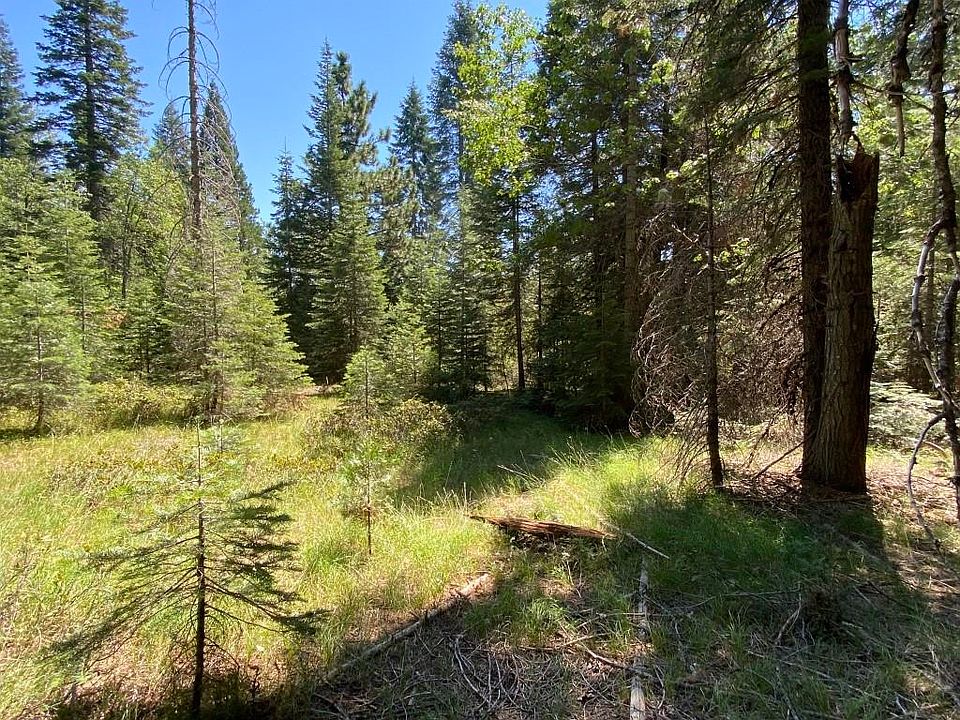 1B3 Cascade St, Mccloud, CA 96057 MLS 20230912 Zillow