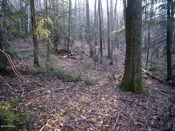 3rd image of 110 Elk Dr