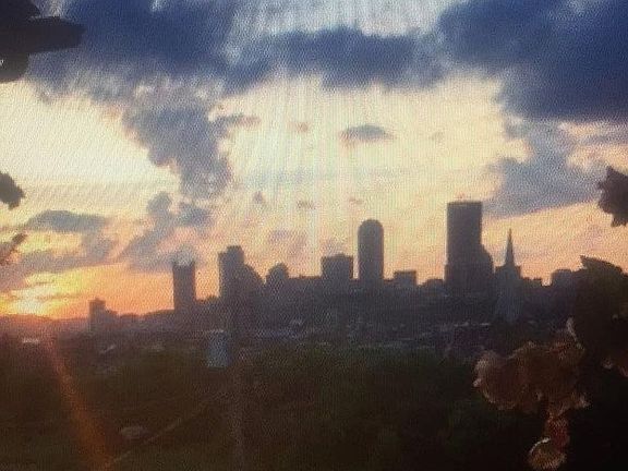 Priceless View