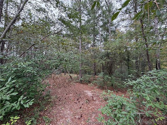 3rd image of LOT 7A Mumford Rd