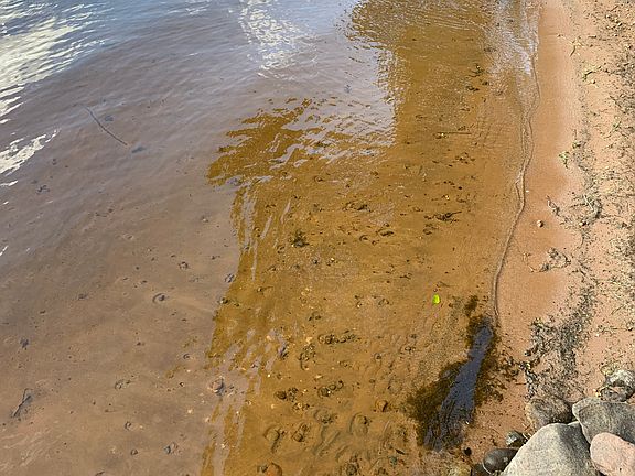 Pristine sandy beach