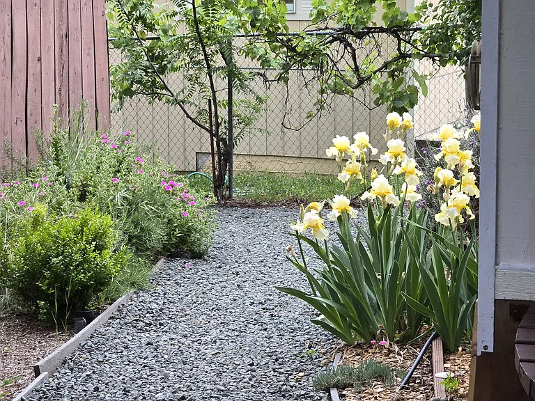 low maintenance yard area