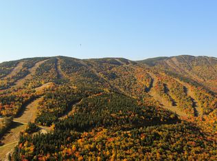 2 Morganite, Newry, ME 04261