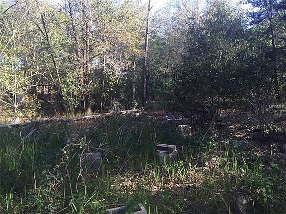 5th image of 30443 Chapel Dr